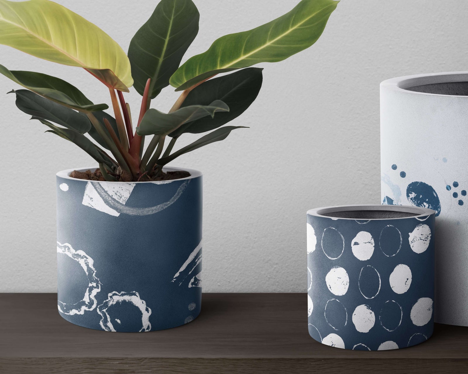 Decorative plant in a blue and white patterned pot on a wooden table, showcasing modern home decor elements.